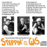 Steppin on the gas rear cover